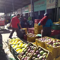 Mercado do Produtor de Juazeiro - Petrolina
