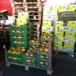 Mercado do Produtor de Juazeiro - Petrolina