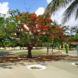 Parque Josepha Coelho - Petrolina