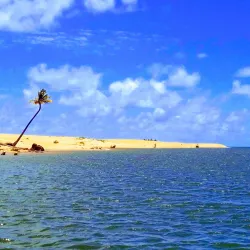 São Francisco River - Petrolina