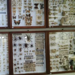 Museu Campos Gerais - Ponta Grossa