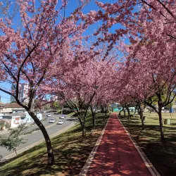 Parque Ambiental Governador Manoel Ribas - Ponta Grossa