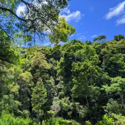 Recanto Japonês (Japanese Garden) - Poços de Caldas