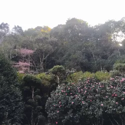 Recanto Japonês (Japanese Garden) - Poços de Caldas