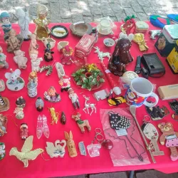 Parque da Redenção - Feira do Livro - Porto Alegre