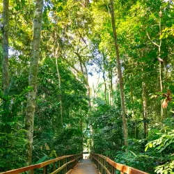 Parque Natural de Porto Velho - Porto Velho