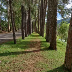 Parque Natural Municipal de Pouso Alegre - Pouso Alegre