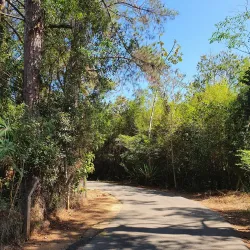 Parque Natural Municipal de Pouso Alegre - Pouso Alegre