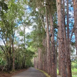 Parque Natural Municipal de Pouso Alegre - Pouso Alegre