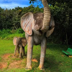 Parque Natural Municipal de Pouso Alegre - Pouso Alegre