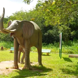 Parque Natural Municipal de Pouso Alegre - Pouso Alegre