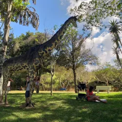 Parque Natural Municipal de Pouso Alegre - Pouso Alegre