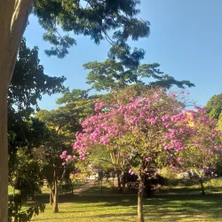 Parque do Povo - Presidente Prudente