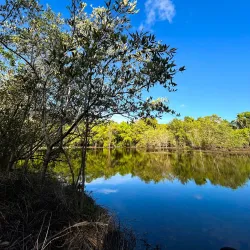 Parque Ecológico do Cocó - Quixeramobim