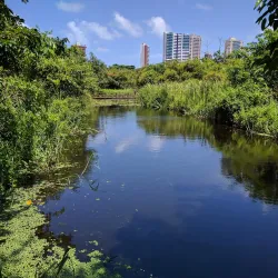 Parque Ecológico do Cocó - Quixeramobim