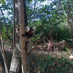 Parque Ecológico do Cocó - Quixeramobim