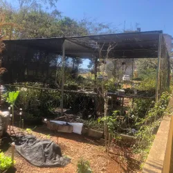 Parque Ecológico de Riacho Fundo II - Riacho Fundo II