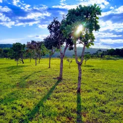 Parque Natural do Riacho Fundo - Riacho Fundo II
