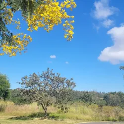 Parque Natural do Riacho Fundo - Riacho Fundo II