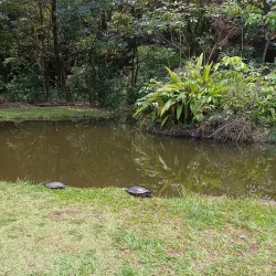 Curupira Park - Ribeirao Preto