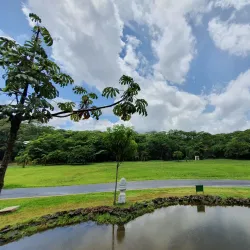 Curupira Park - Ribeirao Preto