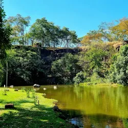Curupira Park - Ribeirao Preto