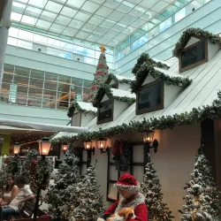 Pedro II Shopping Mall - Ribeirao Preto