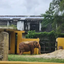 Quinta da Boa Vista Park - Ribeirao Preto