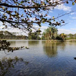 Ribeirão Preto Botanical Garden - Ribeirao Preto