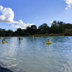 Ribeirão Preto Botanical Garden - Ribeirao Preto