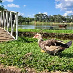 Ribeirão Preto Botanical Garden - Ribeirao Preto