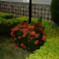 Santa Cruz Church - Ribeirao Preto