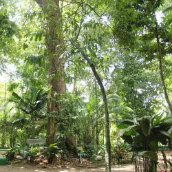 Bosque da Ciência - Rio Branco