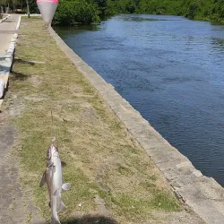 Feira de Artesanato de Rio das Ostras - Rio das Ostras