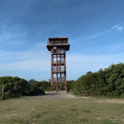 Lagoa do Iriry - Rio das Ostras