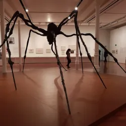 Museu de Arte de Rio das Ostras (MAR) - Rio das Ostras