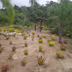 Parque dos Pássaros - Rio das Ostras