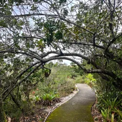 Parque dos Pássaros - Rio das Ostras