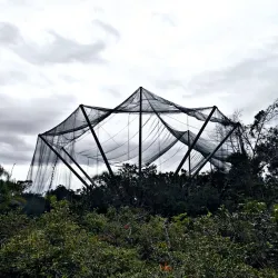 Parque dos Pássaros - Rio das Ostras