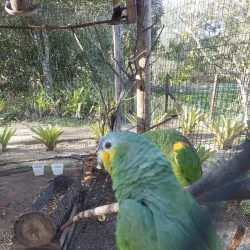 Parque dos Pássaros - Rio das Ostras