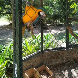 Reserva Natural Municipal de Rio das Ostras - Rio das Ostras