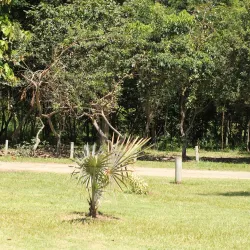 Reserva Natural Municipal de Rio das Ostras - Rio das Ostras