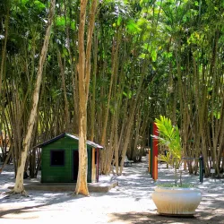 Reserva Natural Municipal de Rio das Ostras - Rio das Ostras