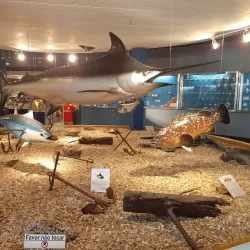 Museu Oceanográfico - Rio Grande