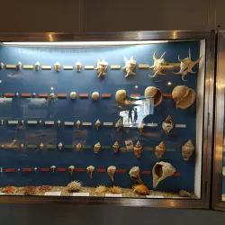 Museu Oceanográfico - Rio Grande