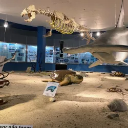 Museu Oceanográfico - Rio Grande