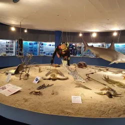 Museu Oceanográfico - Rio Grande