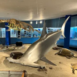 Museu Oceanográfico - Rio Grande