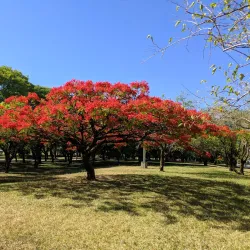Parque Marinha do Brasil - Rio Grande