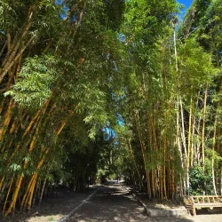 Praça Tamandaré - Rio Grande